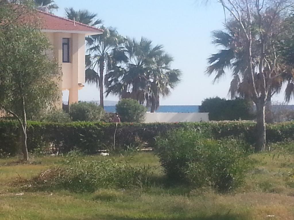 Kermia Beach Apartment Larnaca Room photo